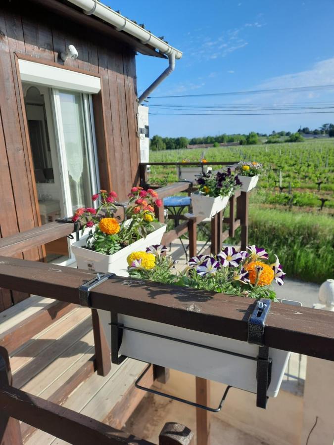 Le Domaine De Canesse Saint-Ciers-de-Canesse Exterior photo
